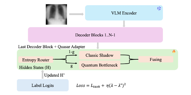MEDQUA: A NISQ-AWARE QUANTUM ADAPTER FOR MEDICAL VISION-LANGUAGE MODELS